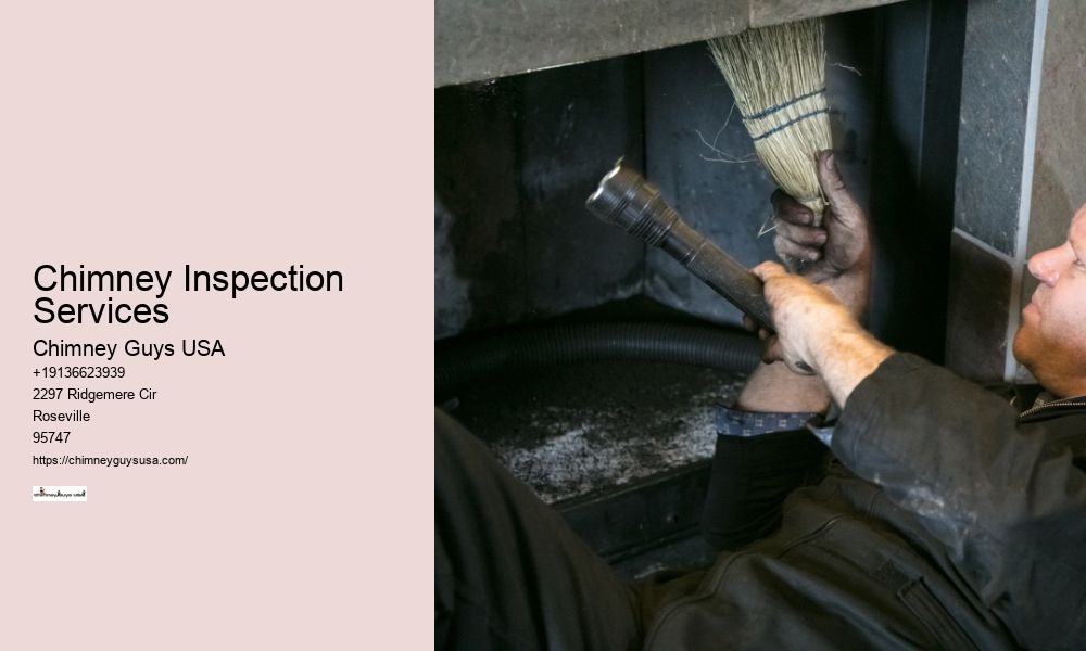 Chimney Inspection Services